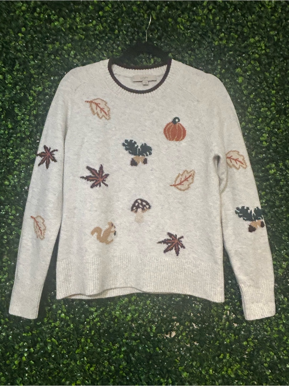 LOFT Cream Crewneck Sweater with Autumn Embroidered Motifs